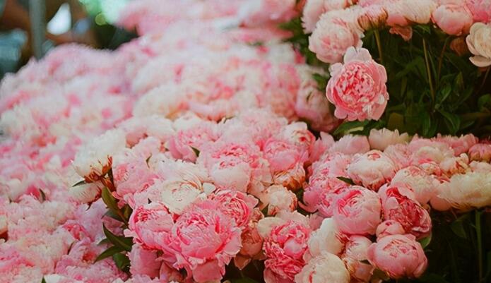 关于出发的美文摘抄