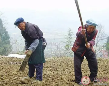 干农活感悟的一句话