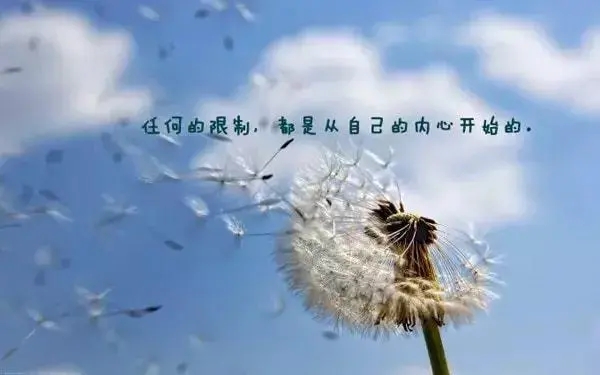 每日说说文案励志短语