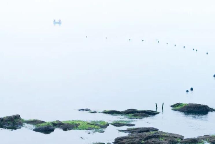 修辞句摘抄带出处