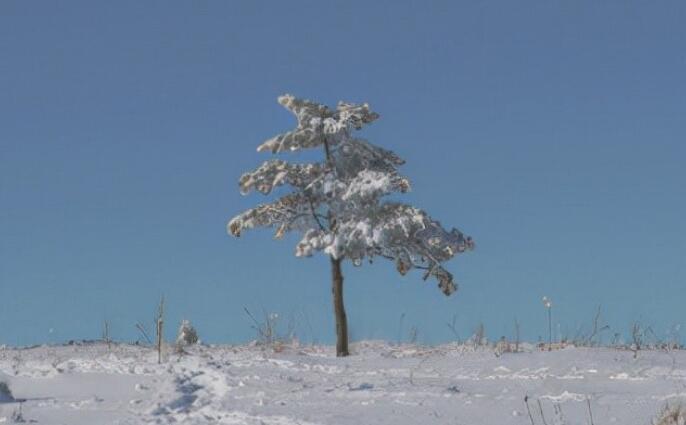 对爱情失望无奈的句子文案