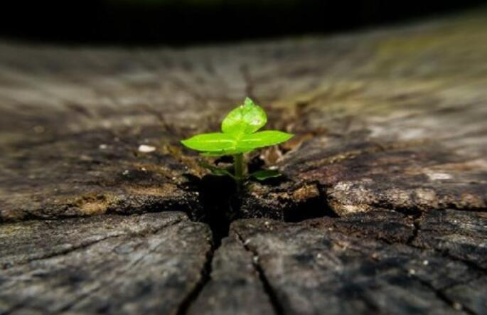 忙碌一天结束正能量的句子文案