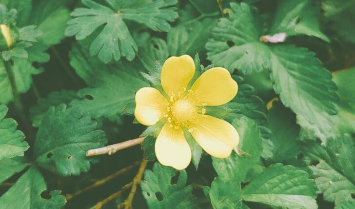 表白儿子的暖心句子文案