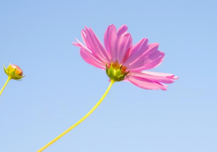 振奋人心的句子文案