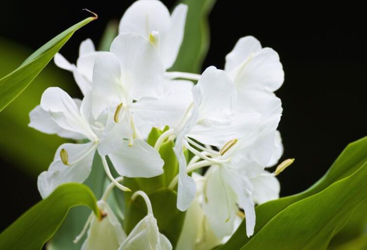 早上好牵挂友情句子文案