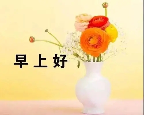 早晨问候爱人短信