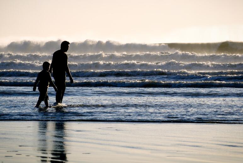 关于亲情的美言美句