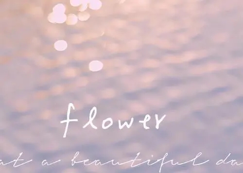 给男朋友安全感的句子文案