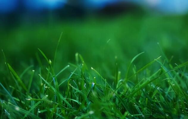 人间山河经典语录文案