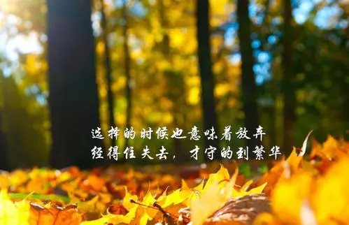 高雅有气质的个性签名