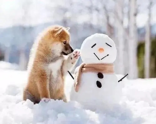 关于冬天的句子文案唯美