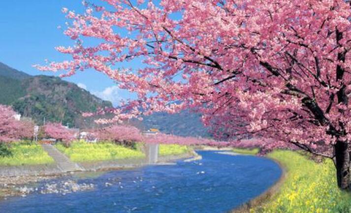 保护家园的句子文案50字