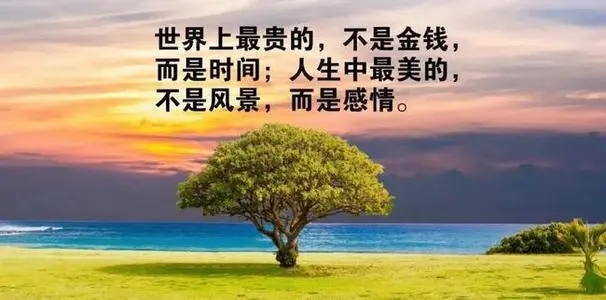 高情商经典语录文案摘抄