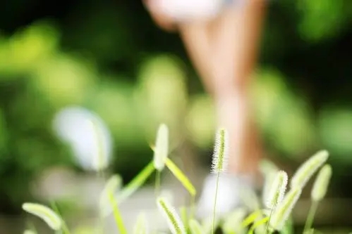 成长的路上有几程曲折说说文案