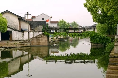 思乡之情的优美句子文案