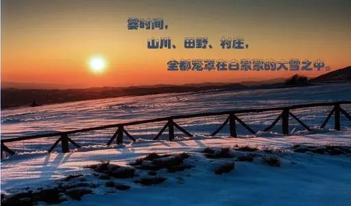 冬天的句子文案