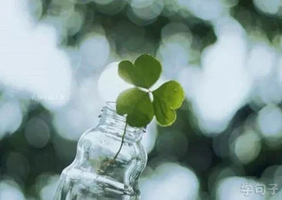 凡事不要太计较的句子文案