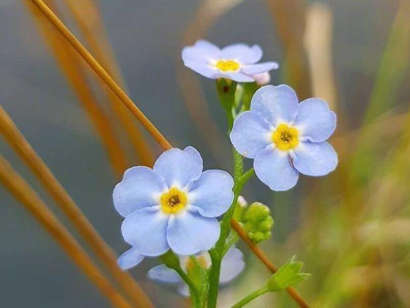 2024年晨语美好的句子文案