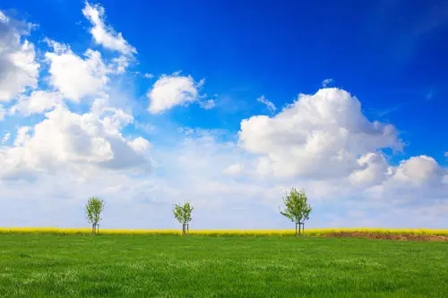 描写春天的优美句子文案段落摘抄