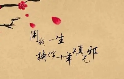 表达心痛心碎的诗句文案