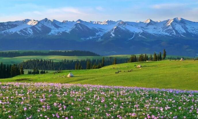 万能套用的名言尼采