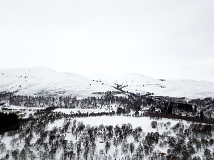 每日情话文案给男朋友晚安