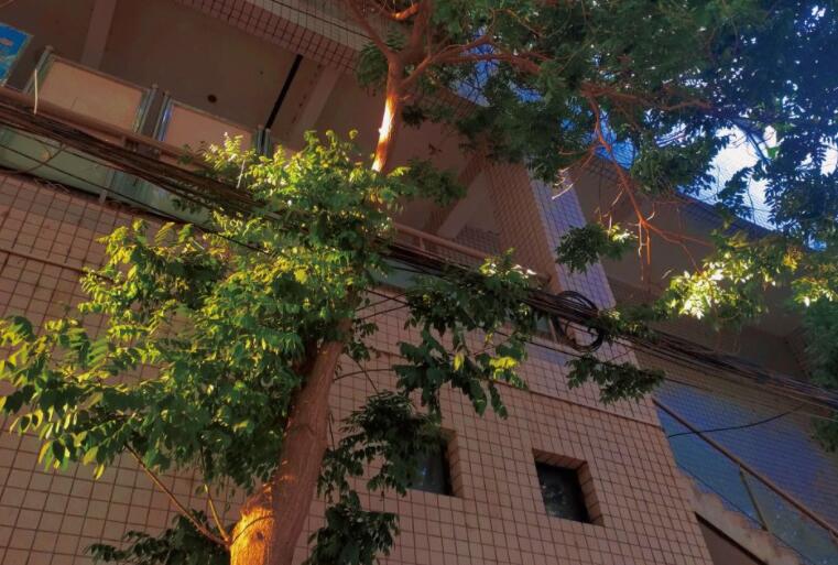 网络小说名言经典语句文案