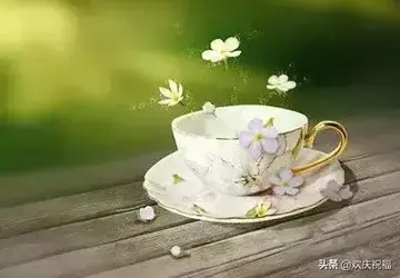 祝你生活愉快的句子文案