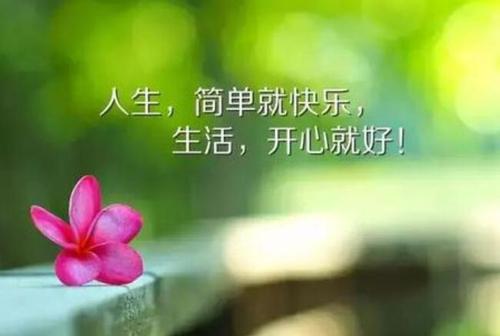 感慨人生的句子文案