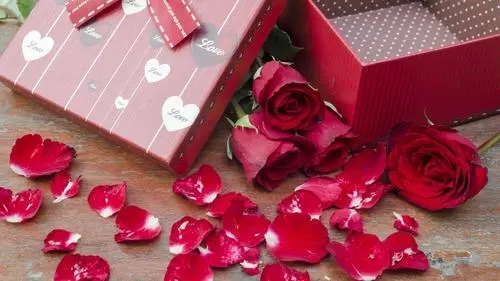 关于5月20日的说说文案