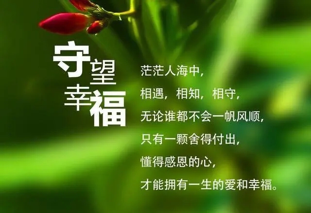 人生幸福感悟文章
