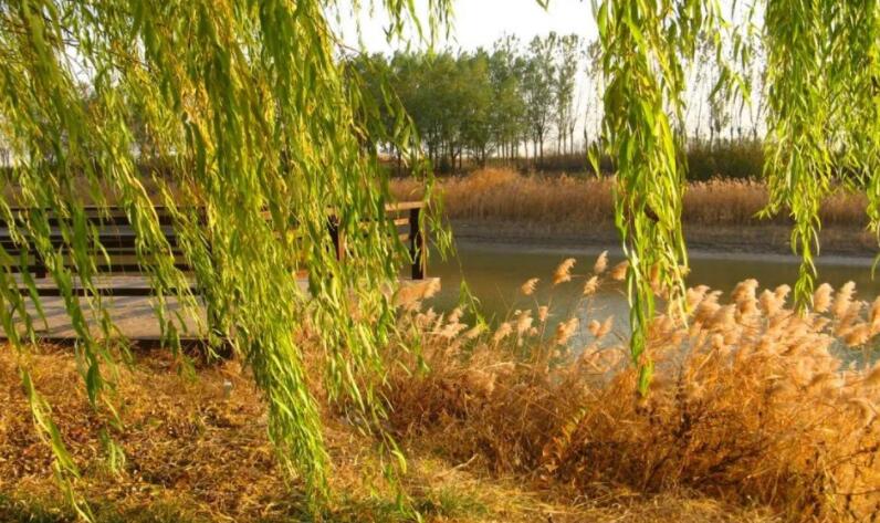 形容十一月天气的句子文案