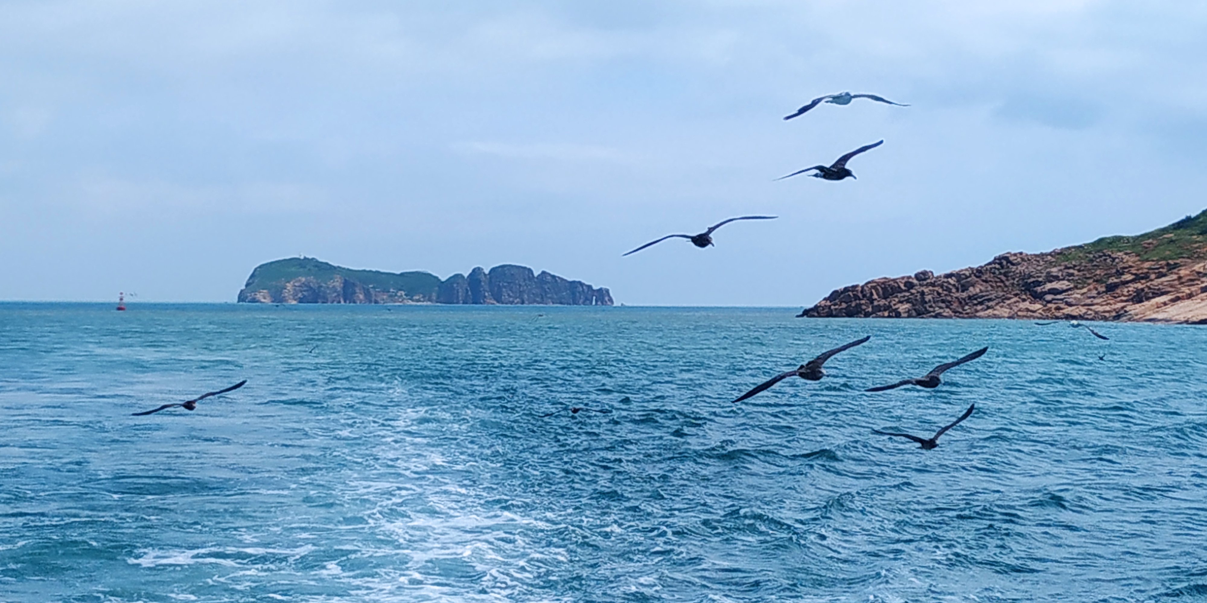 唯美的海边诗句文案