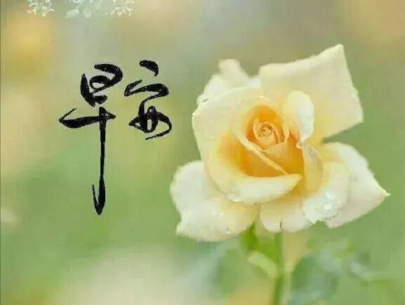 早上好每天祝福语句子文案