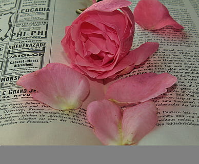 早安关心女孩子的暖心句子文案