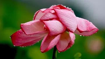 下雨心情低落古诗