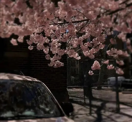 组织活动唯美句子文案