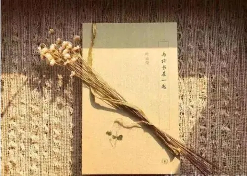 称赞一个人很棒的诗句文案