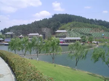 感叹家乡的变化的句子文案