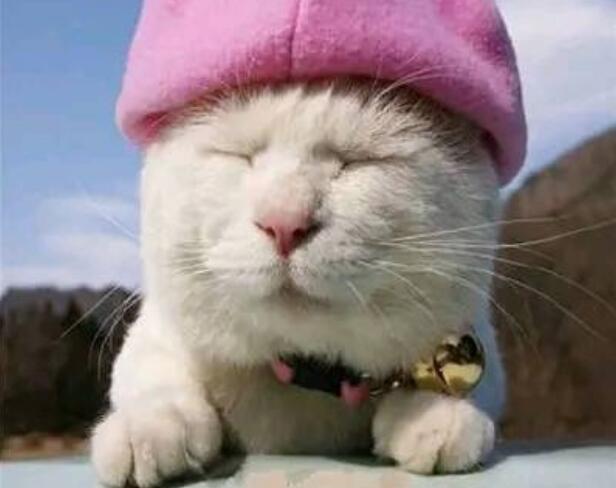 抖音句子文案特别皮