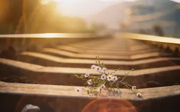 被时光温柔以待经典句子文案