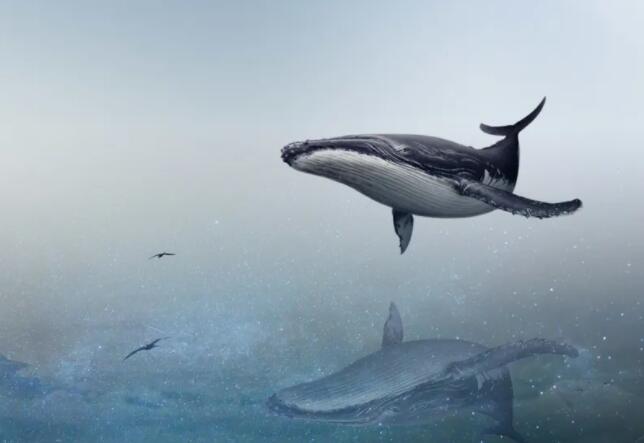 8字名言警句100句