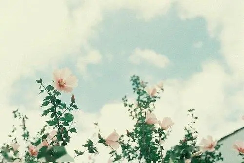 分享好心情的句子文案