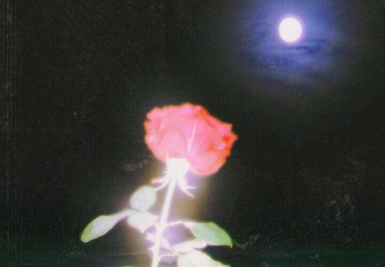 分手用一句话挽回