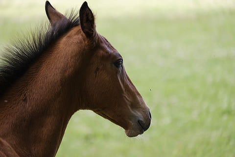 骂上门女婿的很句子文案