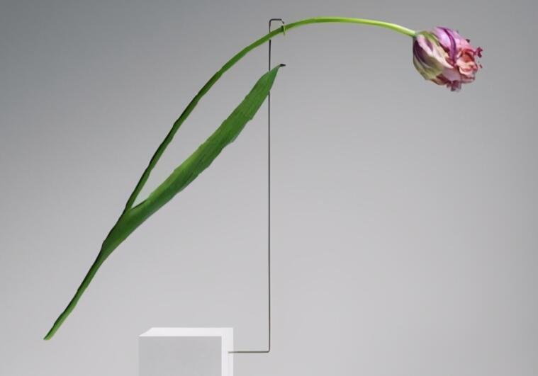 做人的优美句子文案