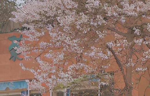 夫妻同甘共苦共患难的句子文案