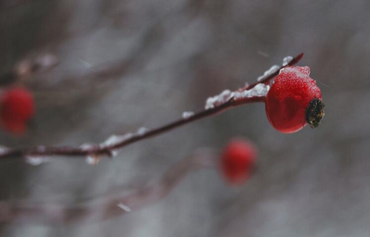 思念已故爱人的心情短语