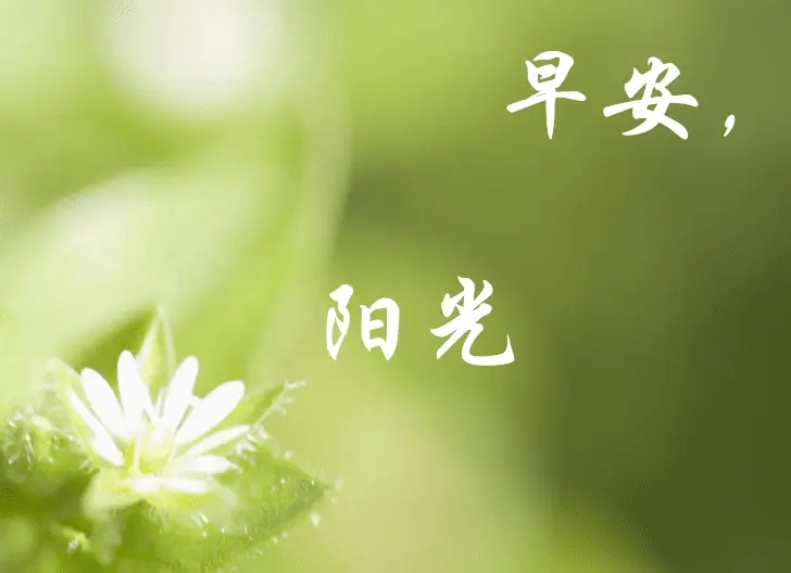 每日一句早安问候语