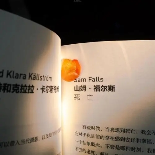 高冷霸气朋友圈文案